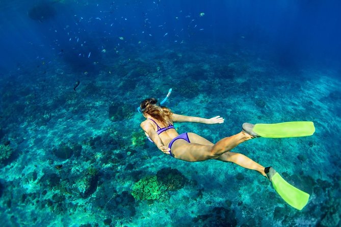 Shared Swim and Snorkel Tour in Rhodes - Small Group Experience with Personal Attention