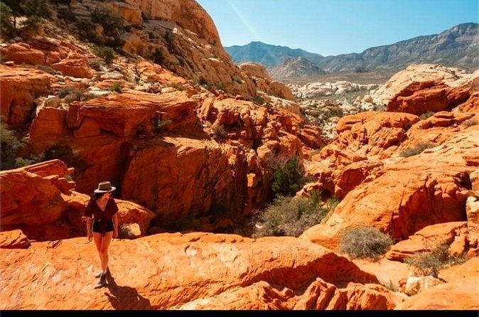 Shared Tour in Red Rock Canyon - Key Points