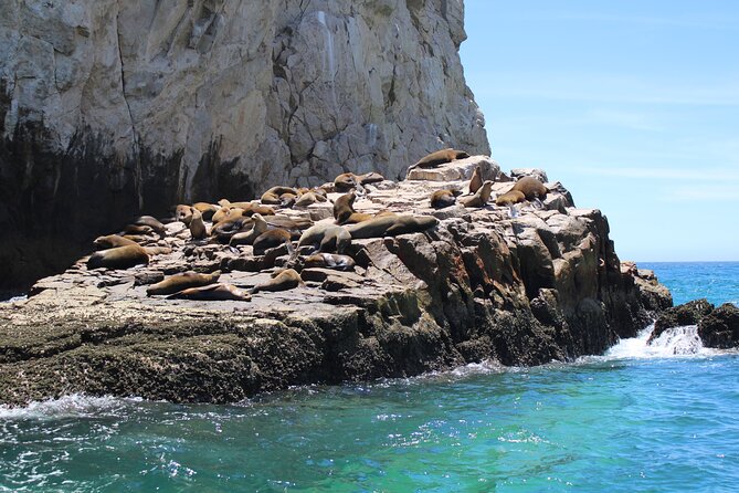 Shared Tour to the Arch of Cabo San Lucas - Stops at Lover’s Beach and Pirate Cave