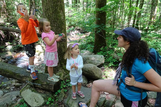 Sharing Nature with Children - The Cosby Picnic Area as a Natural Classroom