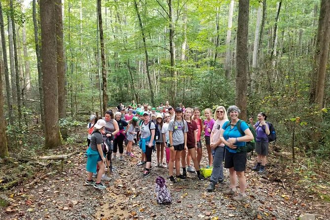 Sharing Nature with Children - Activities and Games in the Forest