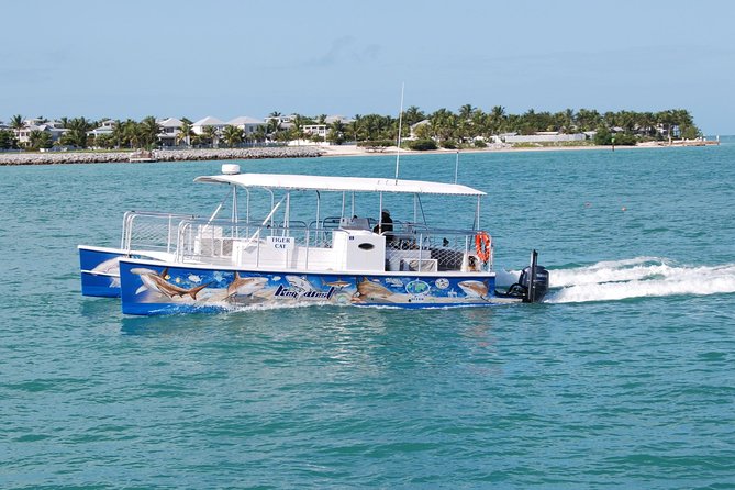 Shark and Wildlife Viewing Adventure in Key West - The Journey to Shark Territory
