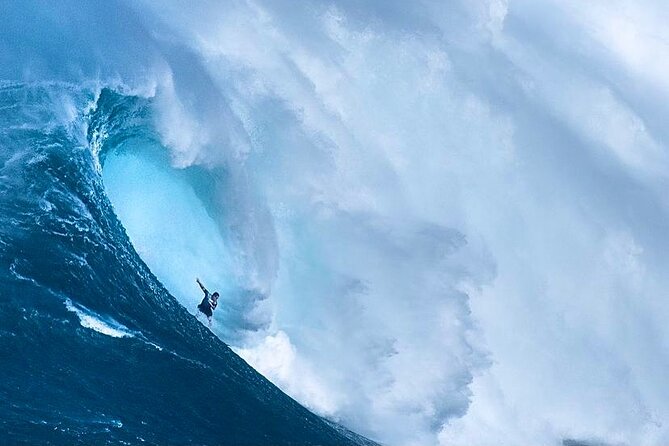 Shark Cage Diving On "The World Famous North Shore of Oahu", Hawaii - Booking Details and Flexibility