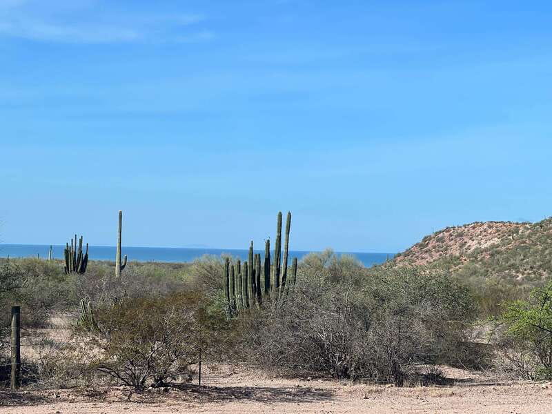 Shark Island: Tour of the largest island in Mexico - Panga Transfer to Shark Island