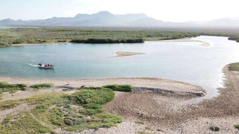 Shark Island: Tour of the largest island in Mexico - Discover the Mangrove Ecosystem on Shark Island