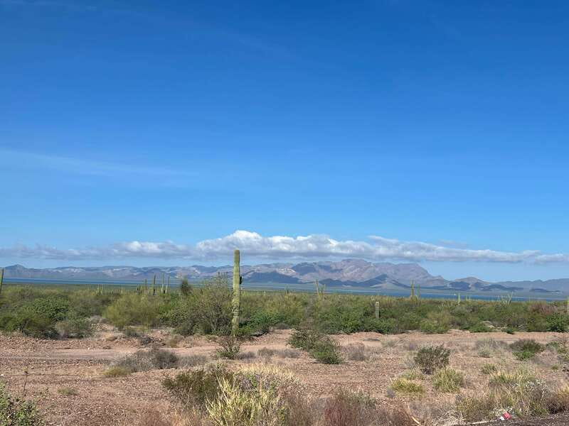 Shark Island: Tour of the largest island in Mexico - Visiting the Comcaac Museum and Learning Their Heritage