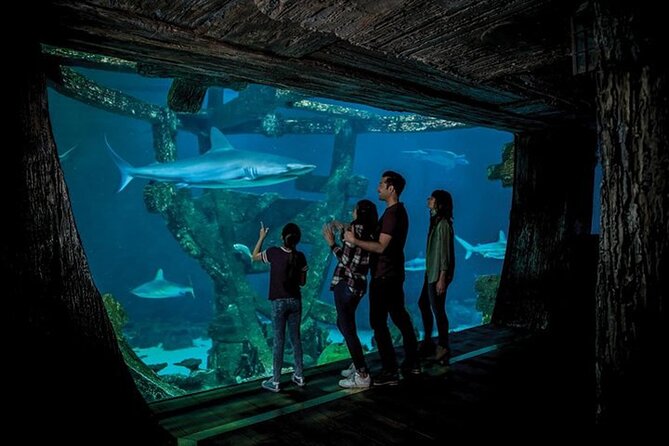 Shark Reef at Mandalay Bay Hotel and Casino - Accessibility and Family Friendly Aspects