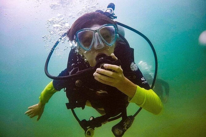 Shark Tooth Snorkeling Adventure and Huka Dive in Venice Florida - The Experience for Families and Divers