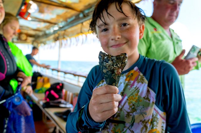 Shark Tooth Snorkeling Adventure and Huka Dive in Venice Florida - Limitations and Considerations