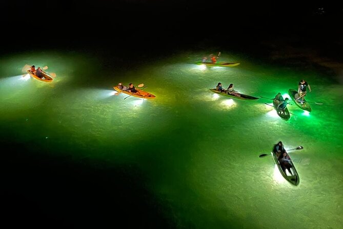 Sharkey's Glass Bottom Fish Feeding LED Night Tour in Clearwater - Physical Requirements and Accessibility