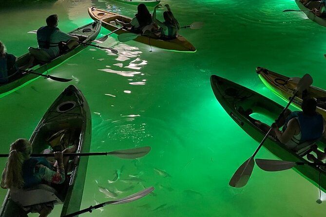 Sharkey's Glass Bottom Fish Feeding LED Night Tour in Clearwater - Final Thoughts on the LED Night Kayaking Adventure
