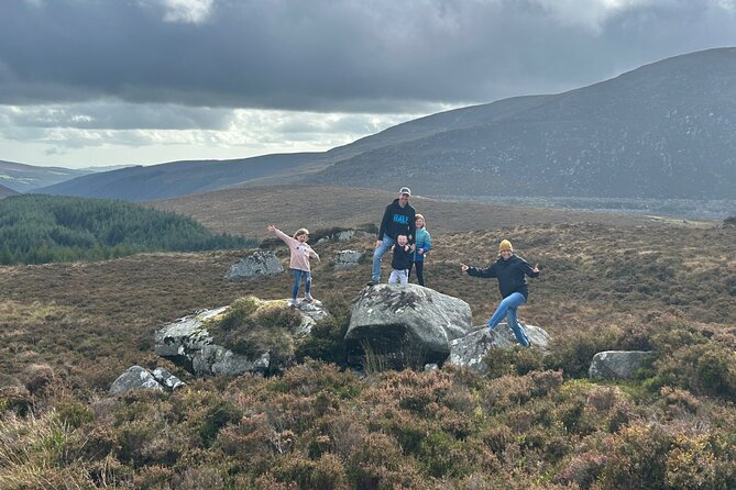 Sheepdogs in the countryside, authentic Dubliners city tour combo - Optional Evening at Dublin’s Temple Bar District