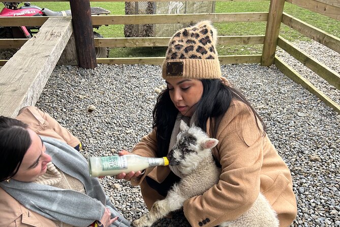 Sheepdogs in the countryside, authentic Dubliners city tour combo - Practicalities: Meeting Point, Accessibility, and Booking