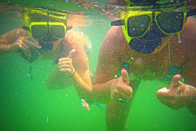 Shell Island Snorkel and Dolphin Catamaran Cruise with Island Time - Encounter Wild Dolphins in Their Natural Habitat