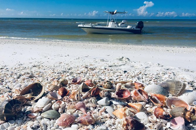 Shelling Tours - Fort Myers Beach / Naples - Explore Shelling and Dolphin Watching with a Private Boat Tour from Fort Myers Beach