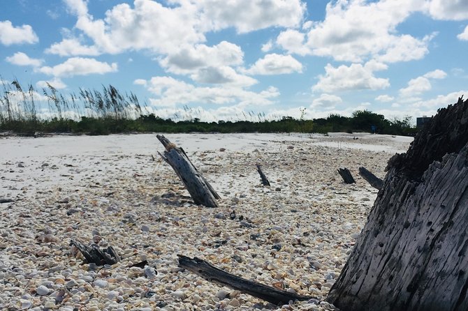 Shelling Tours - Fort Myers Beach / Naples - Key Points