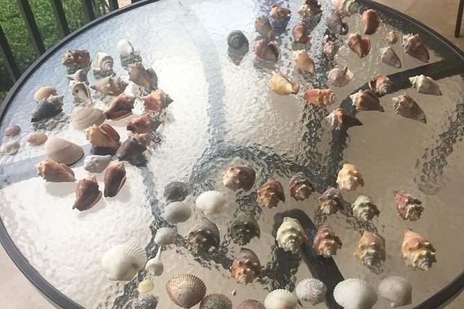 Shelling Tours - Fort Myers Beach / Naples - The Personal Touch of Captain Mike’s Guided Experience