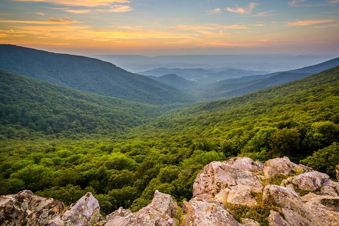 Shenandoah National Park Self-Guided Driving Audio Tour - Waterfalls and Birdwatching Opportunities