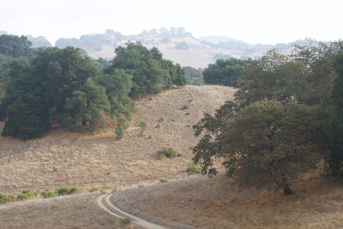 Shiloh Battlefield Self-Guided Driving Audio Tour - The Intensity of Seay Field and the Hornets Nest