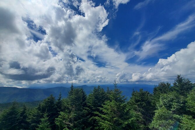 Shining Rock Guided Tour - Spotting Wildlife and Unique Appalachian Plants