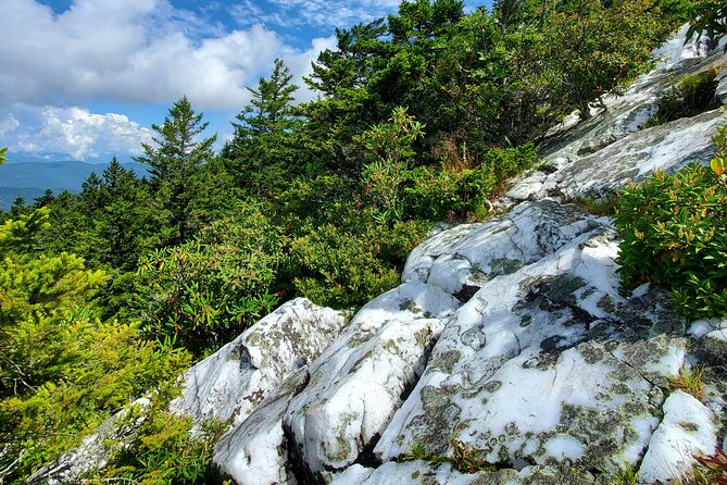 Shining Rock Guided Tour - Exploring the White Quartz Formations at Shining Rock Gap