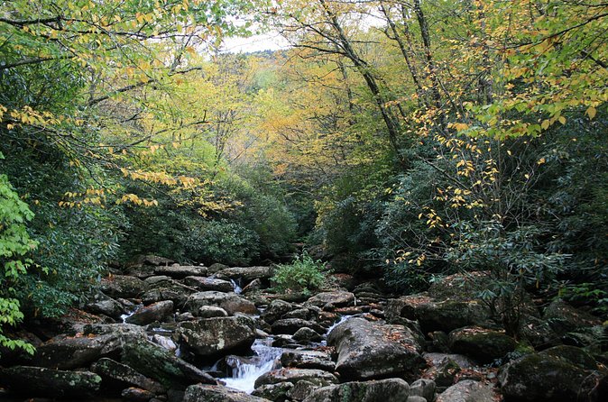 Shining Rock Guided Tour - Flexible Cancellation and Weather Policy