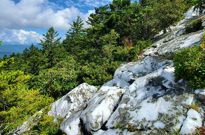 Shining Rock Guided Tour - Who Will Appreciate This Tour Most?