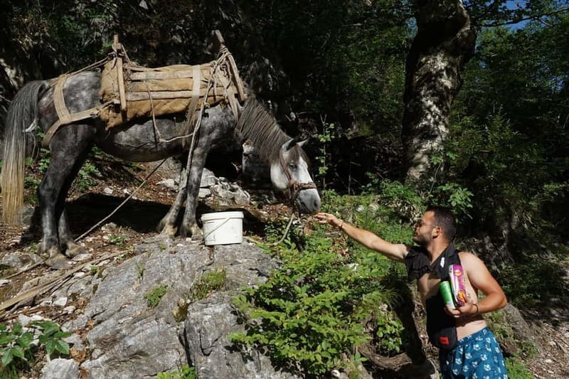 Shkoder: Albanian Alps and Theth Village Day Tour - The Return Journey and Drop-offs in Shkoder