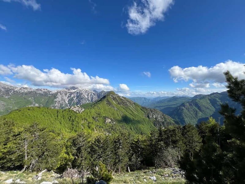 Shkoder: Theth National Park Day Tour with Local Guide - The Guide: Marjan’s Approach and Expertise