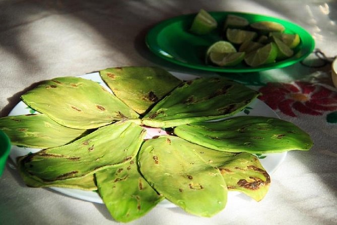 Shore Excursion Authentic Rural Mexican Experience - Physical Requirements and Accessibility