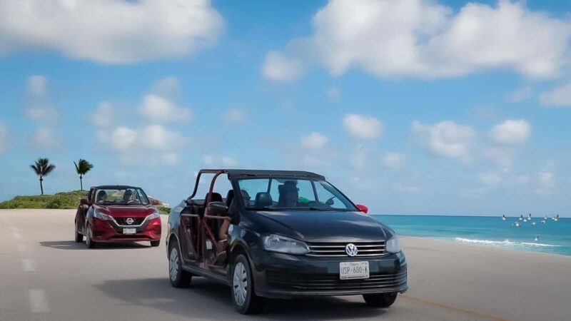 Shore Excursion: Buggy Tour with Mayan Ruins & Beach Time - Starting Point and Transportation Logistics in Cozumel