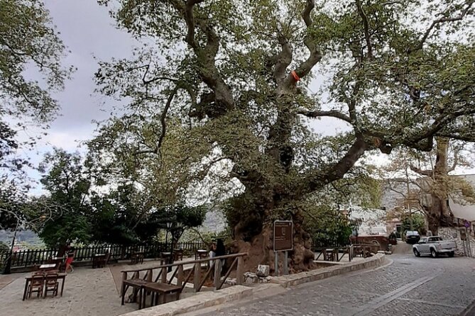 Shore Excursion Crete, Cave of Zeus, Palace of Knossos & Villages - Logistics and Group Size: Easy and Intimate