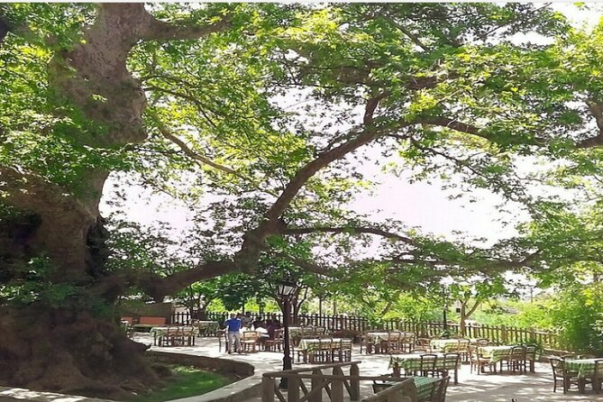 Shore Excursion Crete, Cave of Zeus, Palace of Knossos & Villages - The Experience of Private Tours Greece