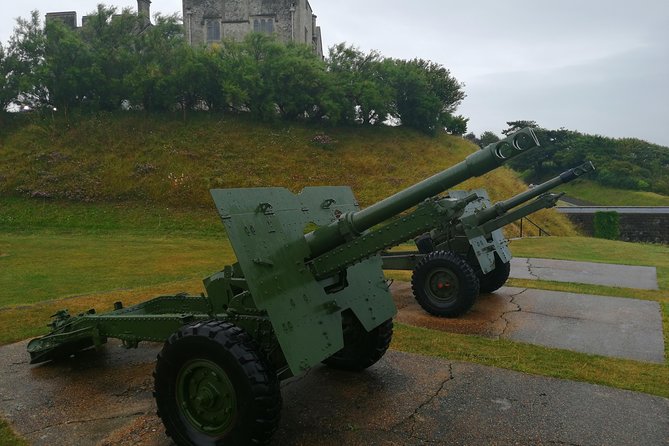 Shore Excursion: Dover Cruise Terminal to London with Stopover at Dover Castle - Who Will Appreciate This Tour Most?