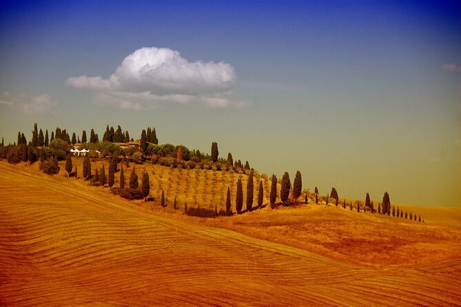 Shore excursion from Florence to San Gimignano and Siena - Discover Siena’s Medieval Architecture and Piazza del Campo
