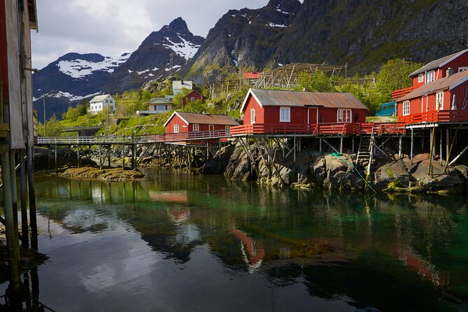 Shore Excursion Full day Private Tour in Lofoten - Relaxing at Rambergstranda Beach