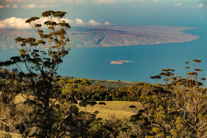 Shore Excursion: Haleakala Sunrise Tour for Pride of America Passengers - Key Points