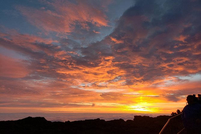 Shore Excursion: Haleakala Sunrise Tour for Pride of America Passengers - Scenic Stops Along the Crater Road