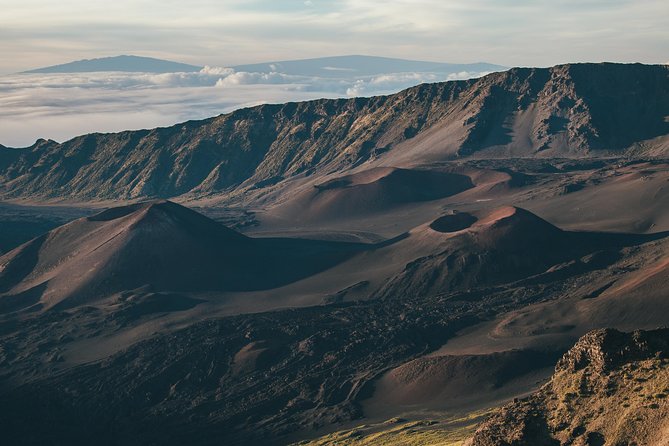Shore Excursion: Haleakala Sunrise Tour for Pride of America Passengers - The Experience with Local Guides from Valley Isle Excursions
