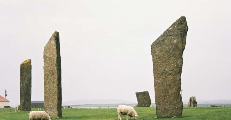 Shore Excursion Kirkwall: Small Group Highlights of Orkney - The Ring of Brodgar: A Neolithic Wonder