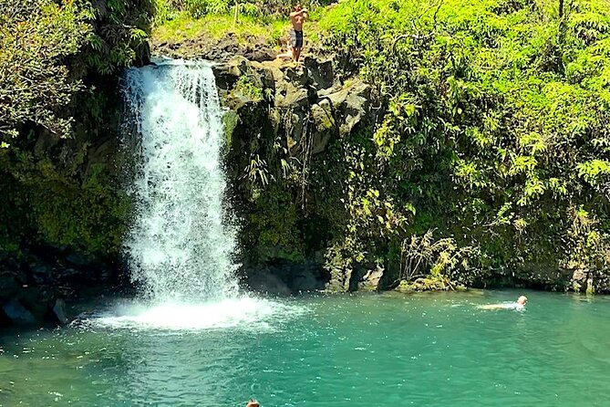 Shore Excursion of Maui - Hookipa Beach Park: Turtle Viewing and Coastal Views
