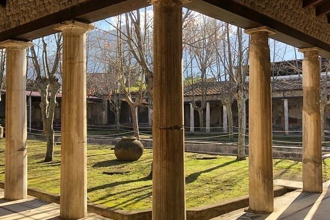 Shore excursion Pompei Vesuvius Herculaneum from Naples port - Included Services and Practical Details