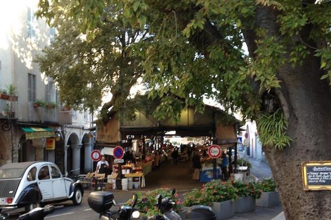 Shore Excursion Private Tour from Cannes - Visiting Cannes and the Initial Scenic Drive