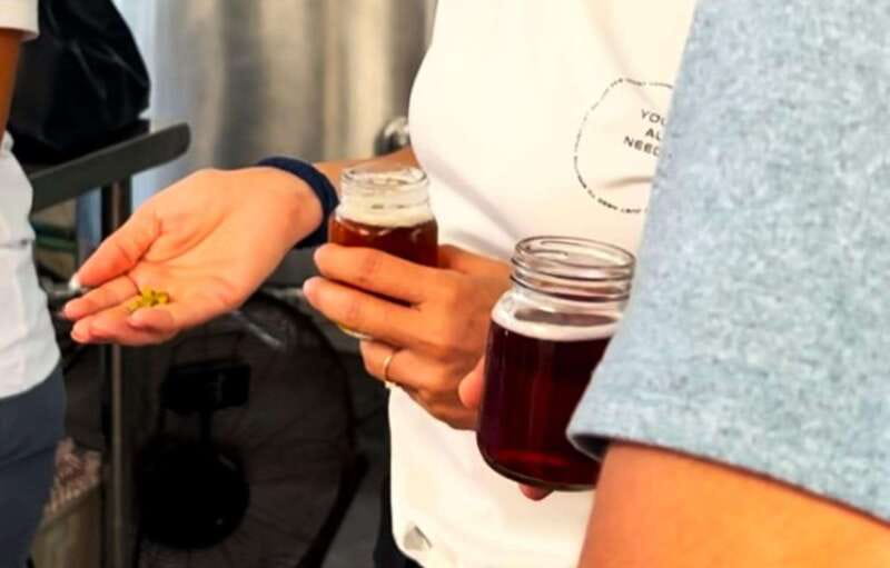 Shore Excursion: Savor Cozumel with Tacos, Beer & Mezcal - Guided Tour of Punta Sur Brewery’s Craft Beer Making Process