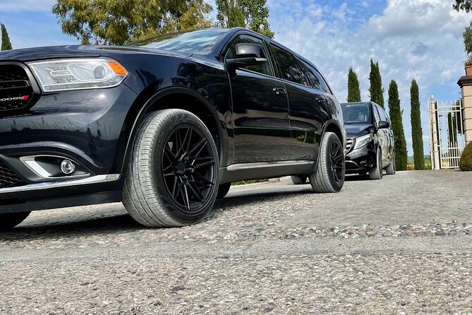 Shore excursion to Pisa and Florence from Livorno Port - The Experience Is Both Personal and Informative