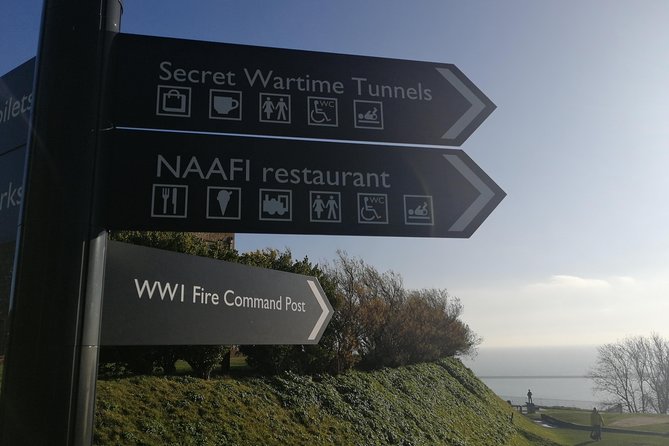 Shore Excursion:Dover Cruise Terminal to London Stopover at Dover & Leeds Castle - Convenient Pickup and Drop-off at Dover Cruise Terminal