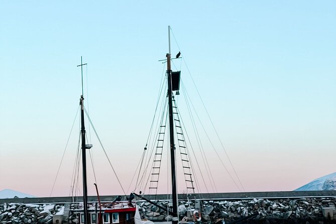 Shore Excursions Ålesund: Highlights Ålesund & Islands - Ålesund and Islands Shore Excursion Overview