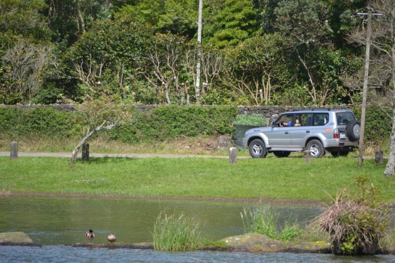 Shore Excursions from Ponta Delgada - Who Will Enjoy This Tour?