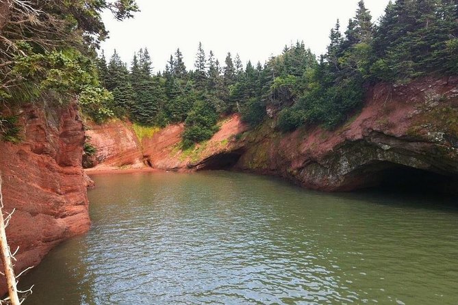 Shore Tours - Fort Howe: Climb to Historic Heights