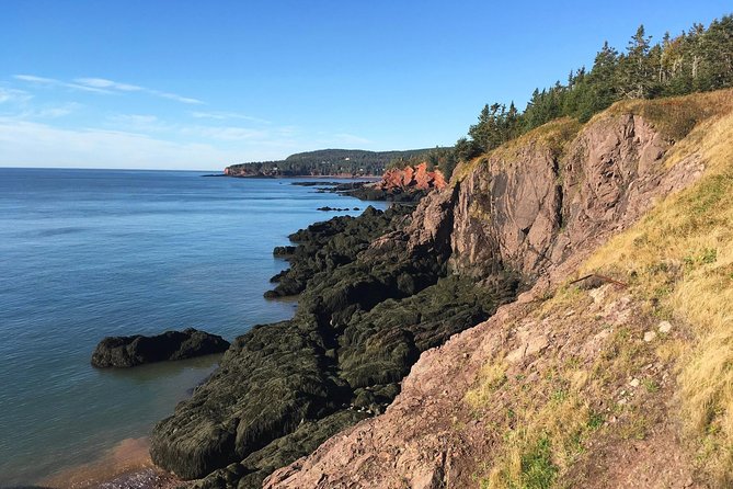 Shore Tours - Bay of Fundy Sea Caves and Coastal Trails
